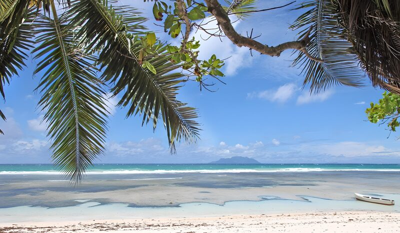 Tropical Paradise by the Sea