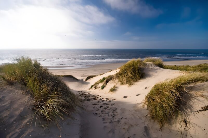 Coastal Dunes Beneath a Clear Sky