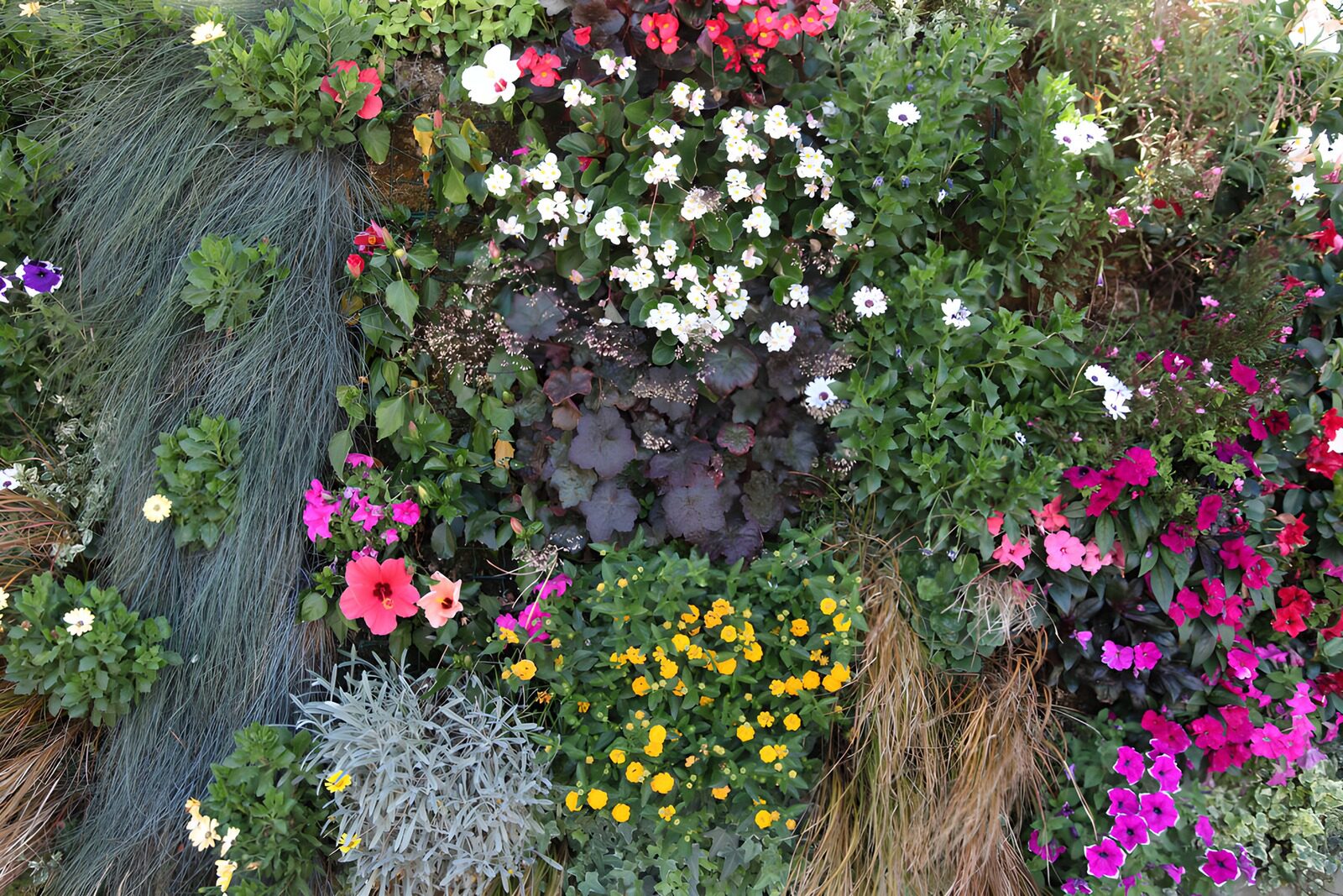 Colorful Floral Garden Display