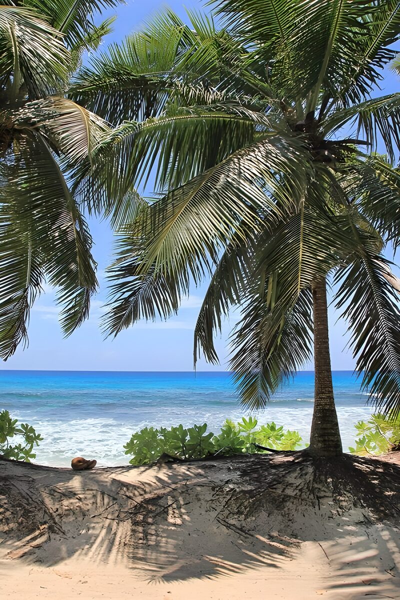 Tropical Paradise by the Sea