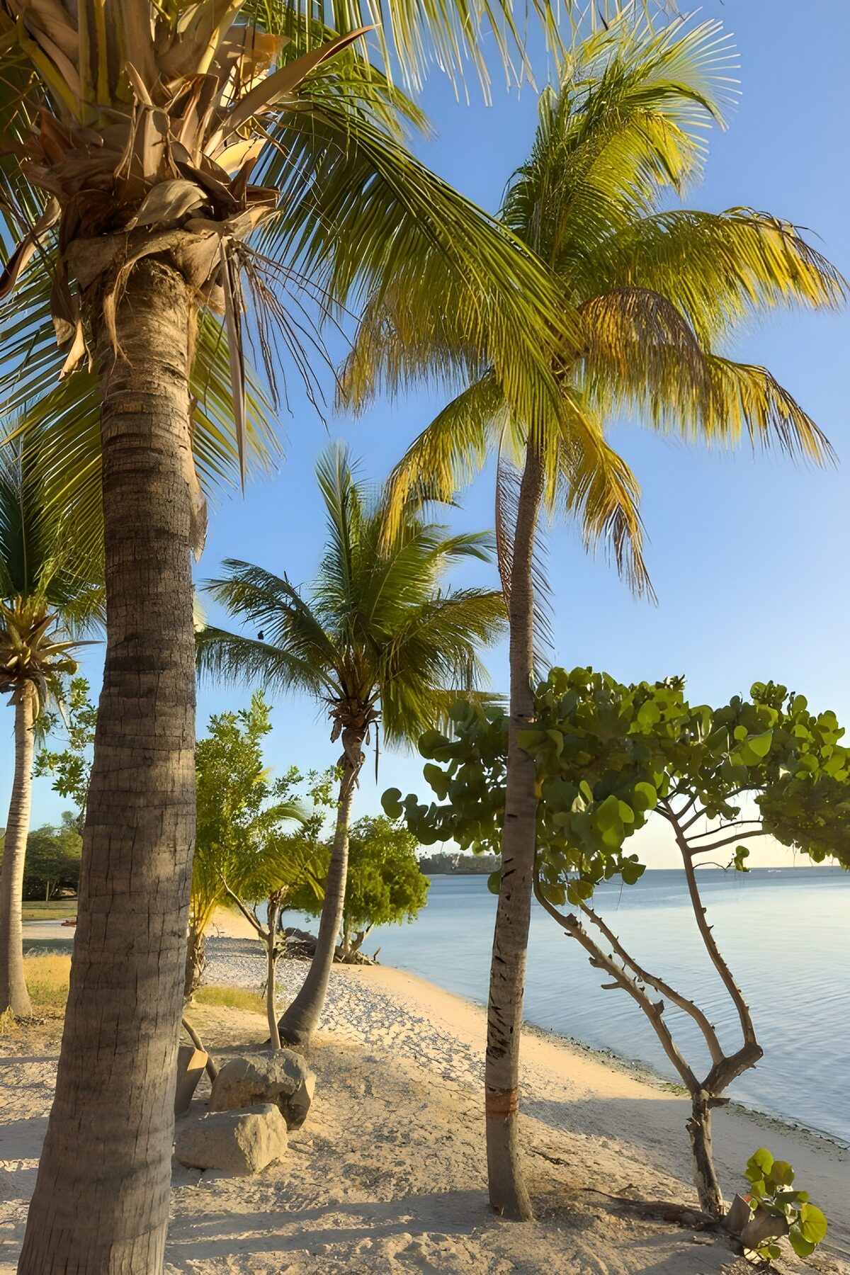 Serene Beachside Paradise