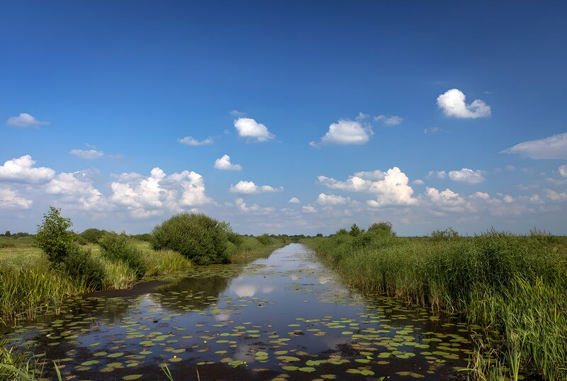 Tranquil Waters Under a Blue Sky