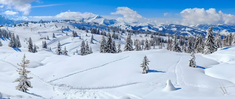 Serene Winter Wonderland