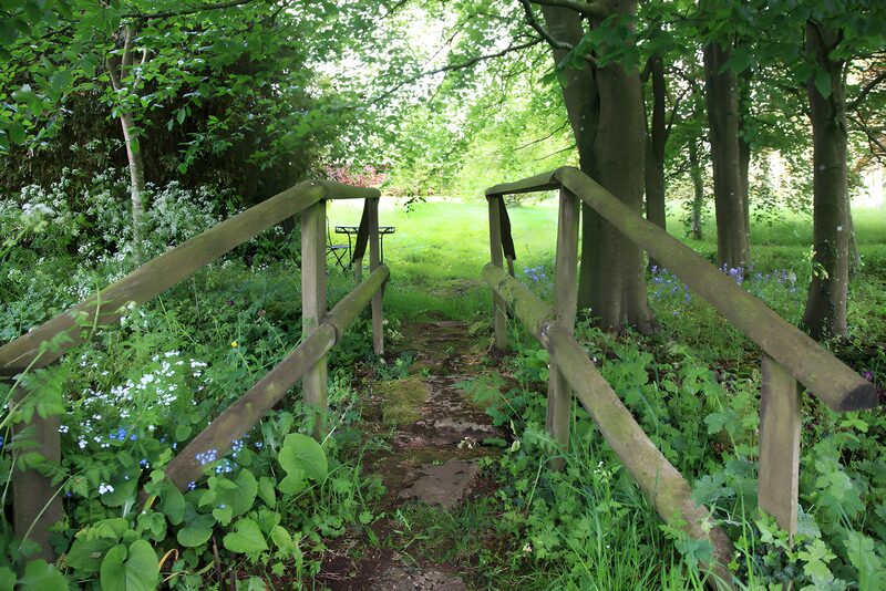 Tranquil Pathway Through Greenery