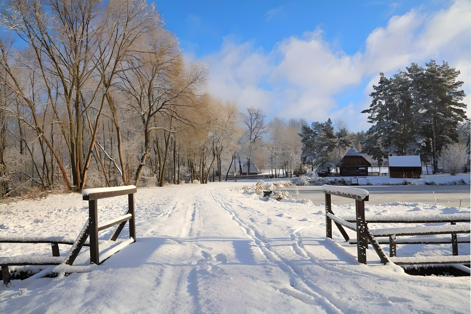 Winter Serenity by the Frozen Pond