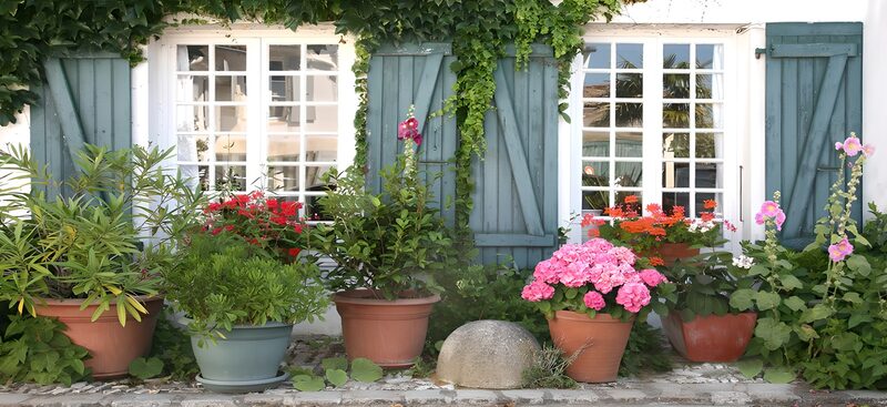 Charming Flower-Filled Cottage Entrance