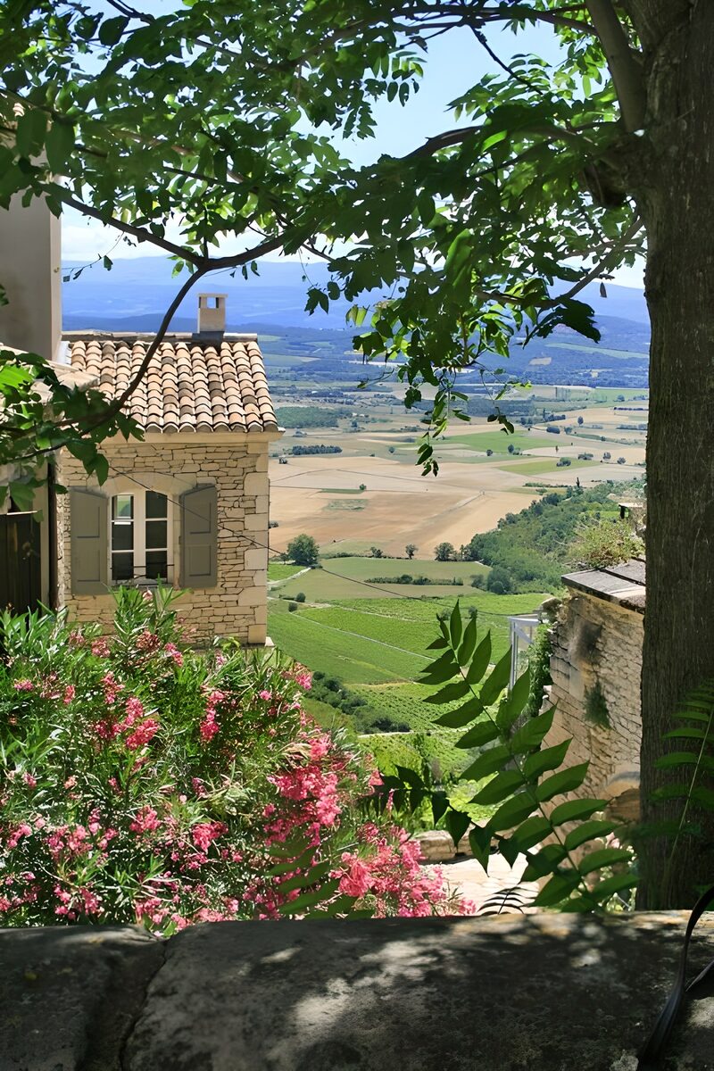 Serene Countryside Vista
