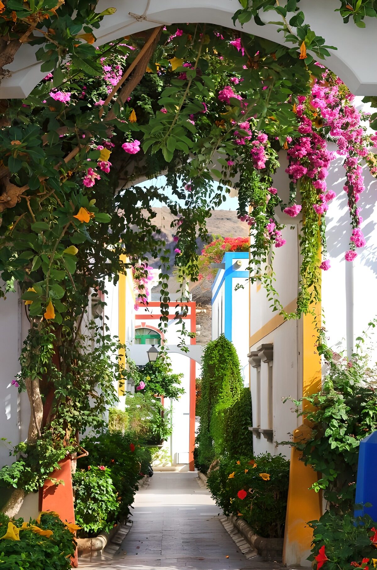 Colorful Pathway Through Bougainvillea