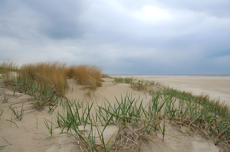 Coastal Dunes Under Cloudy Skies
