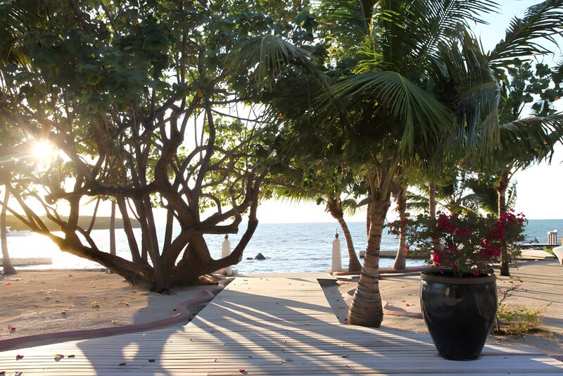 Serene Beach Pathway at Sunset