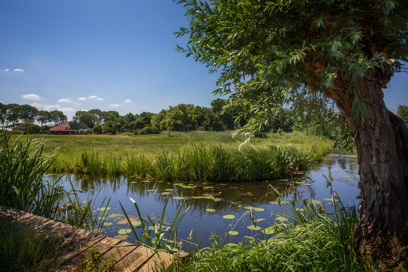 Tranquil Waterside Retreat