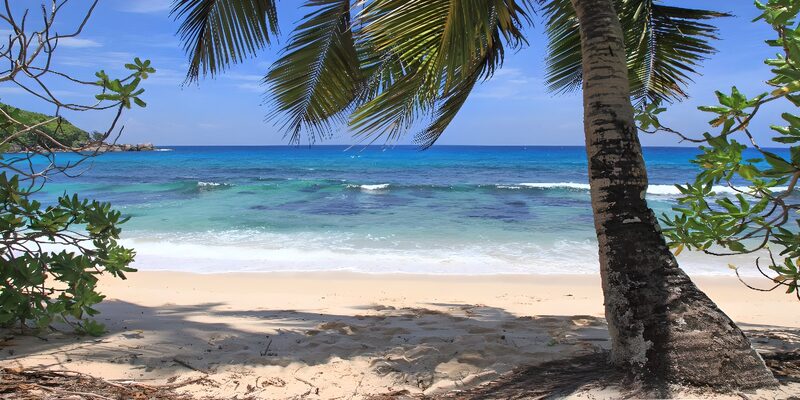 Tranquil Tropical Beach Scene