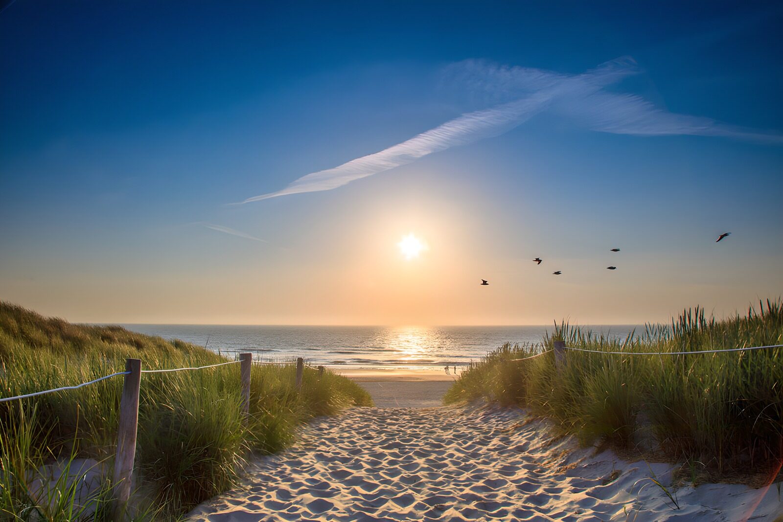 Tranquil Beach Sunrise Pathway