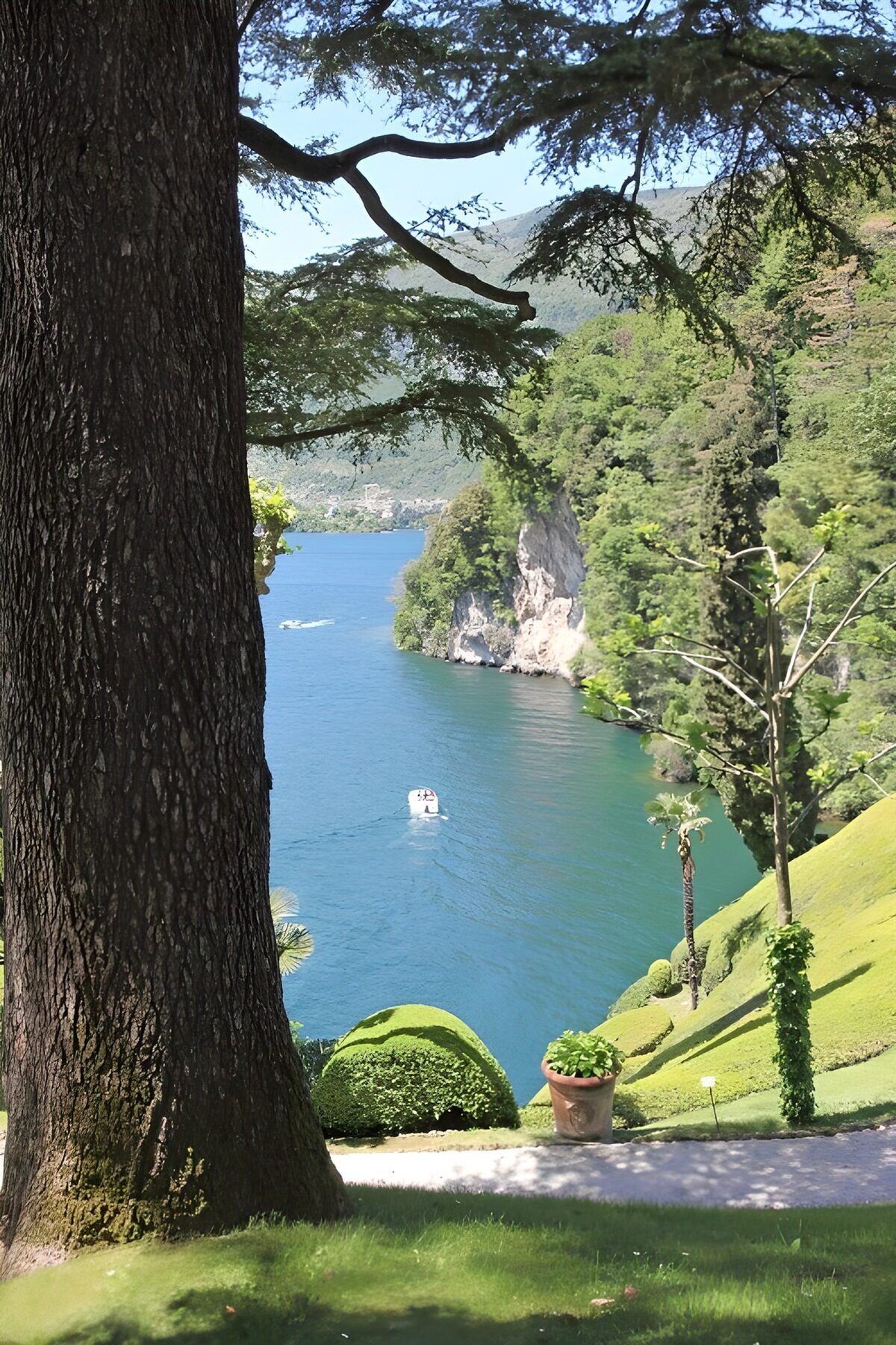 Tranquil Lake View Amidst Lush Greens