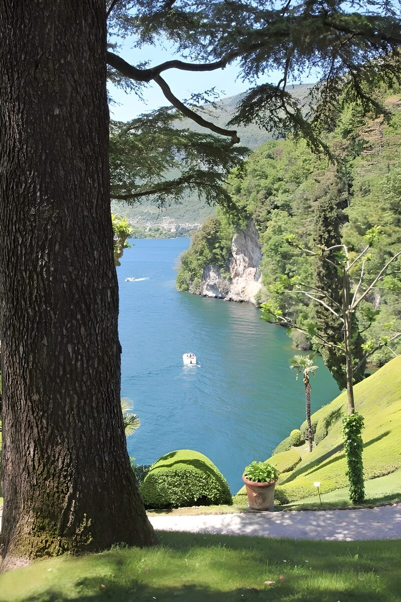 Tranquil Lake View Amidst Lush Greens
