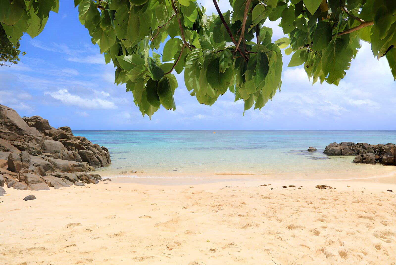 Tranquil Tropical Beach View