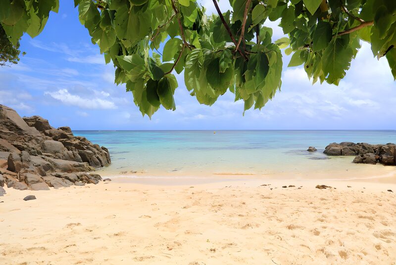 Tranquil Tropical Beach View