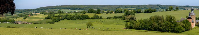 Serene Pastoral Landscape