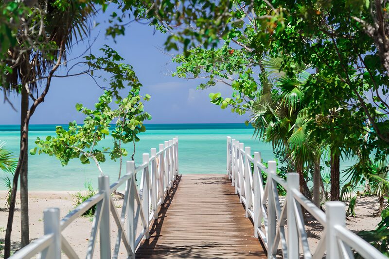 Tropical Pathway to Tranquil Waters