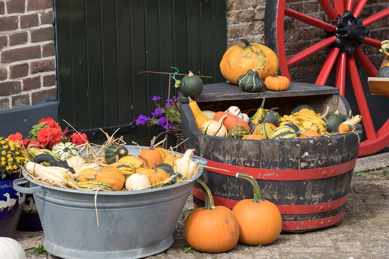 Autumn Harvest Display