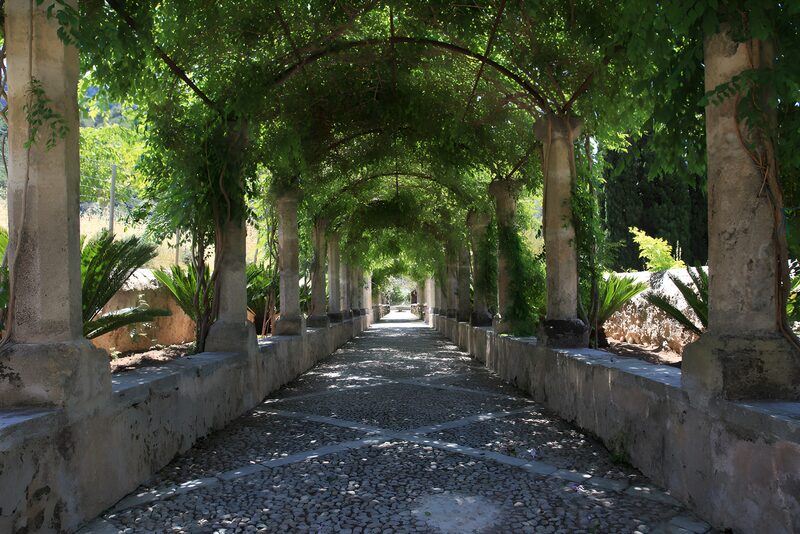 Lush Green Archway Pathway