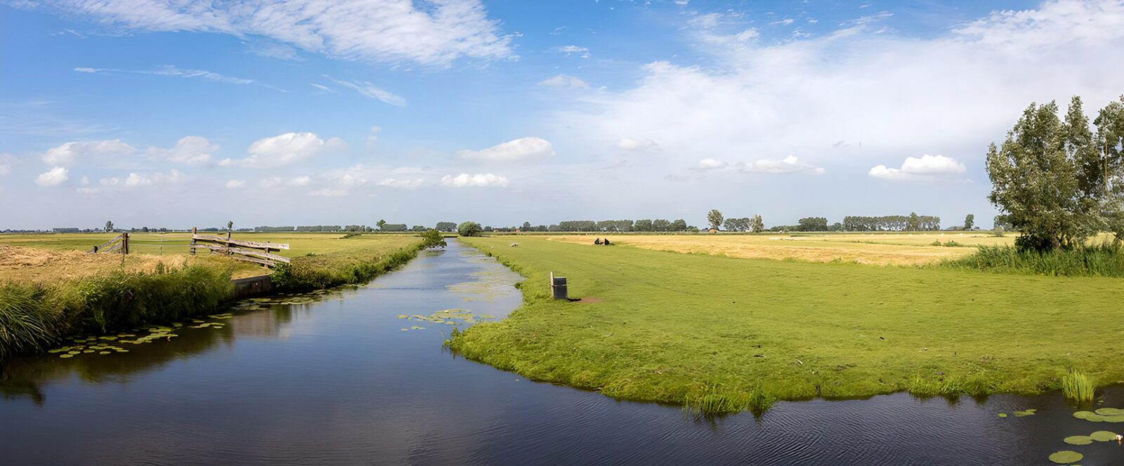 Peaceful Riverside Landscape
