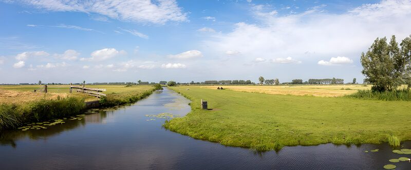 Peaceful Riverside Landscape