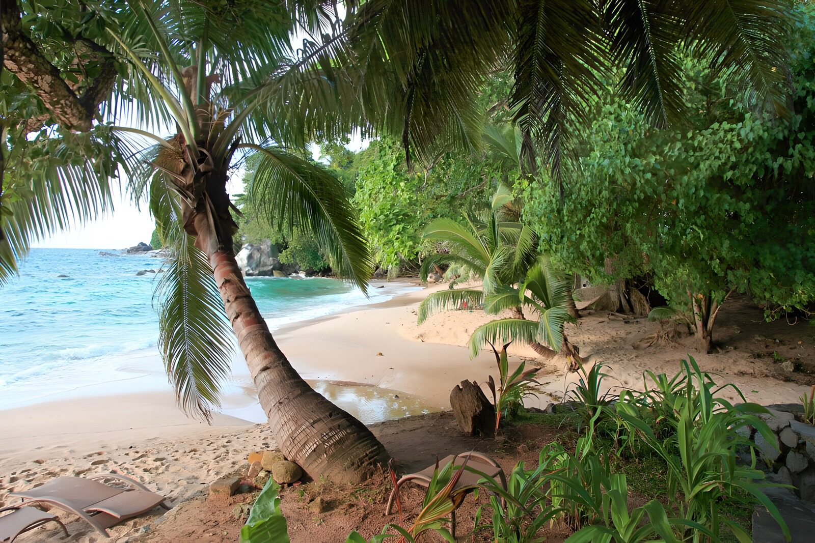 Tropical Beach Paradise