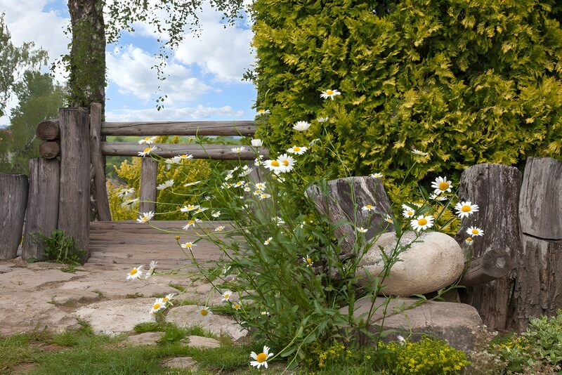 Tranquil Garden Pathway
