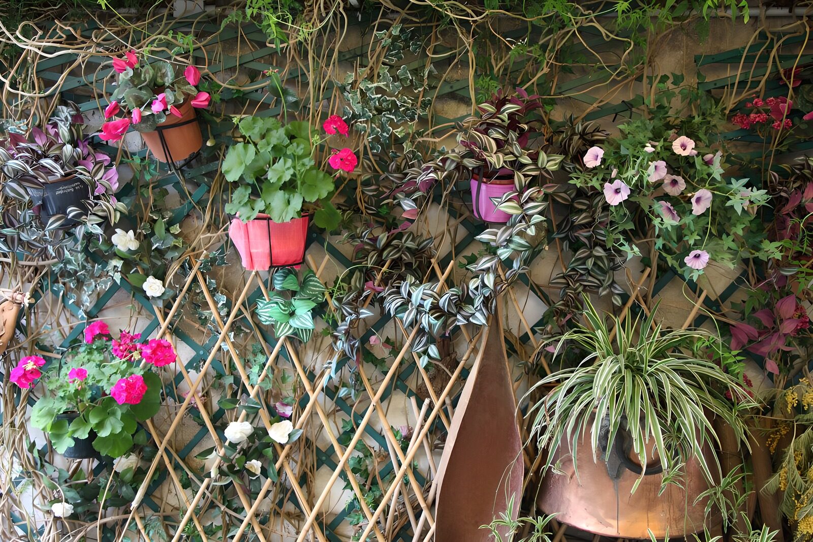 Colorful Vertical Garden Display