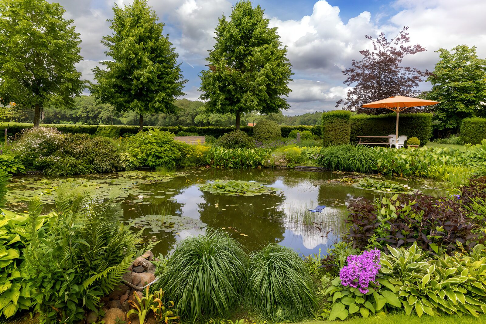 Serenity in the Garden