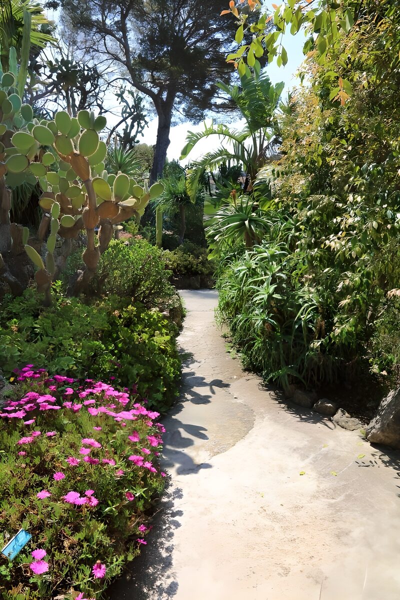 Serene Garden Pathway under Sunlight