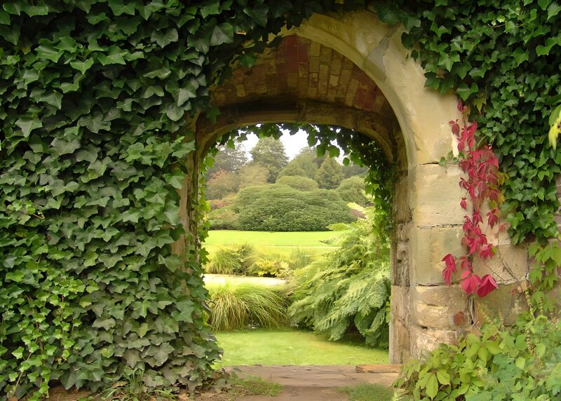 Ivy-Covered Archway to Tranquil Garden