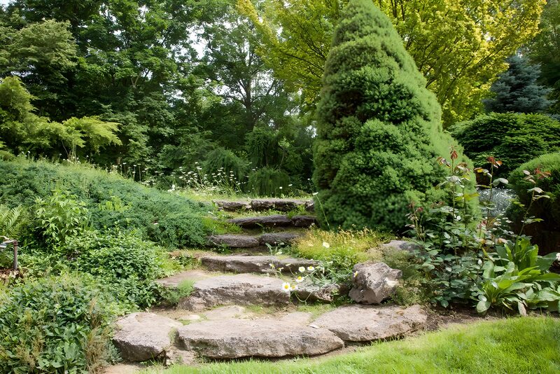 Serene Garden Pathway