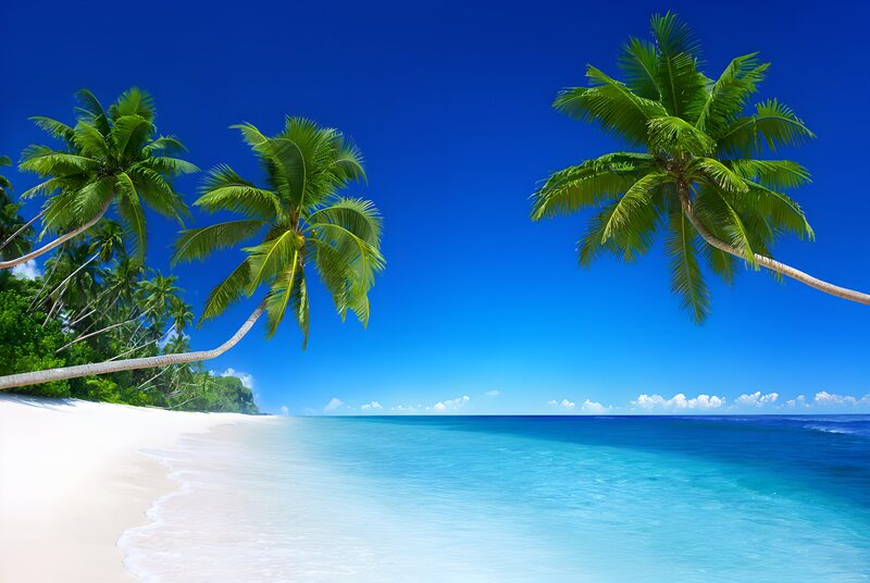 Tropical Paradise by the Sea