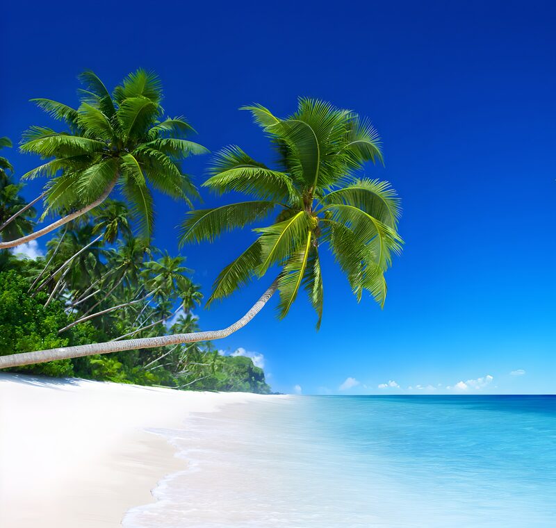 Tropical Paradise by the Shore
