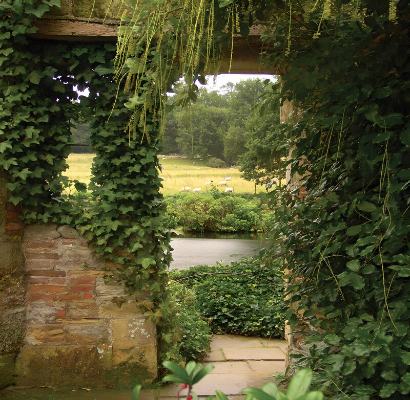 Ivy-Covered Archway to a Serene Landscape
