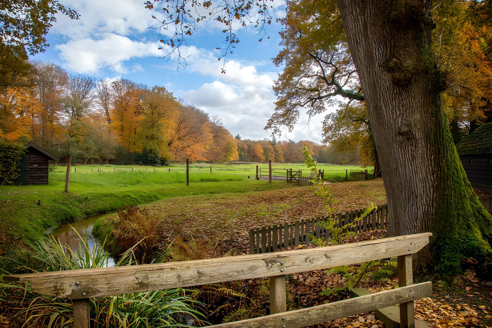 Tranquil Autumn Landscape