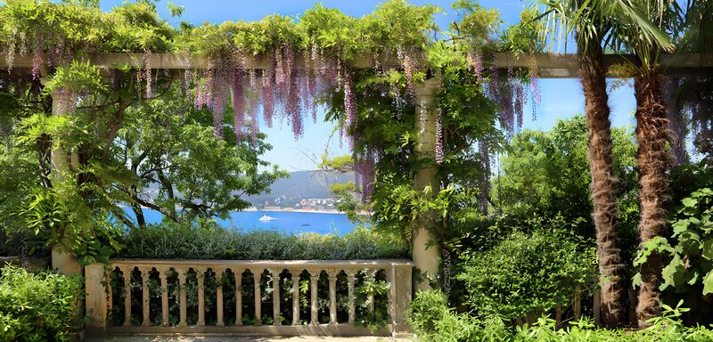 Serene Garden View by the Sea