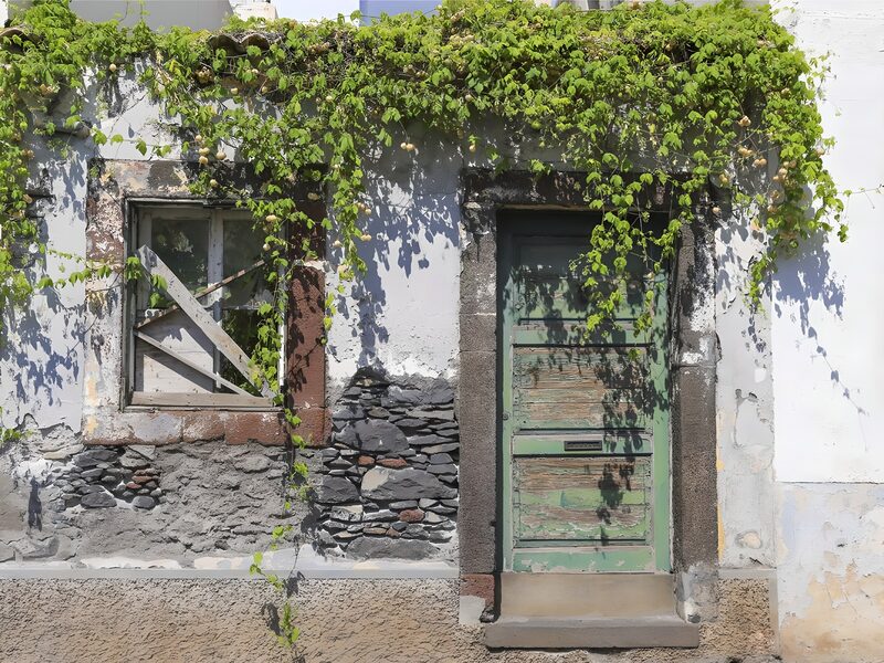 Abandoned Charm: Green Door and Window