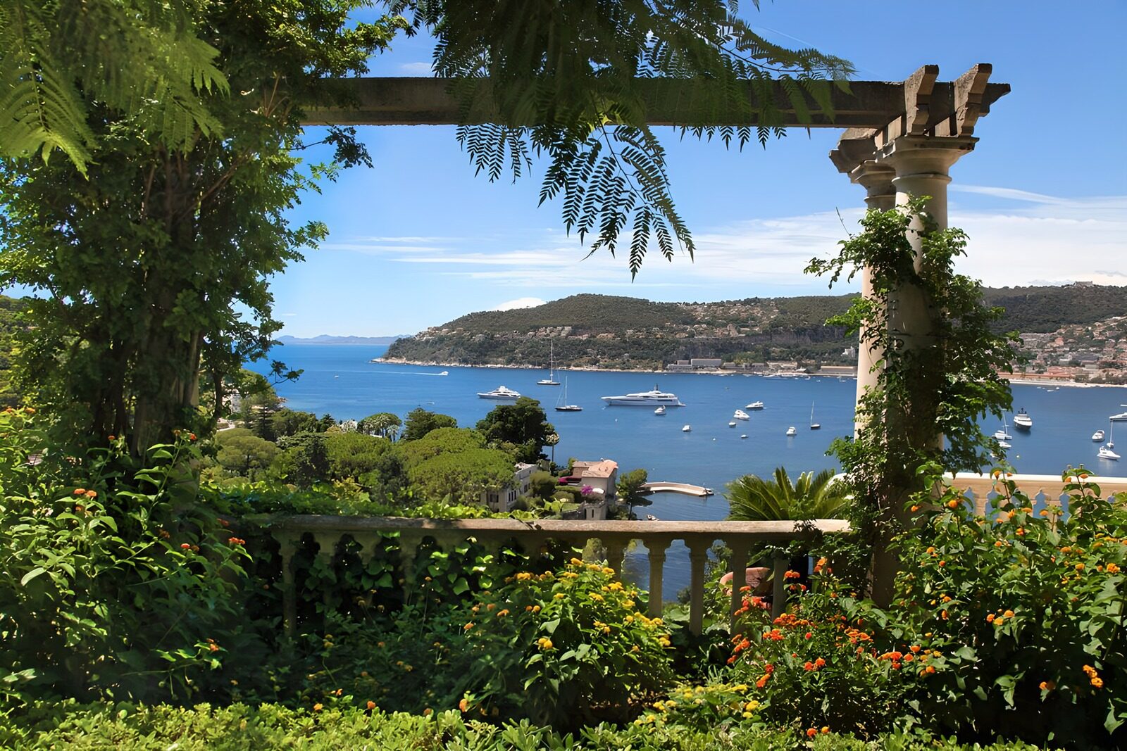 Serene Coastal View from a Garden