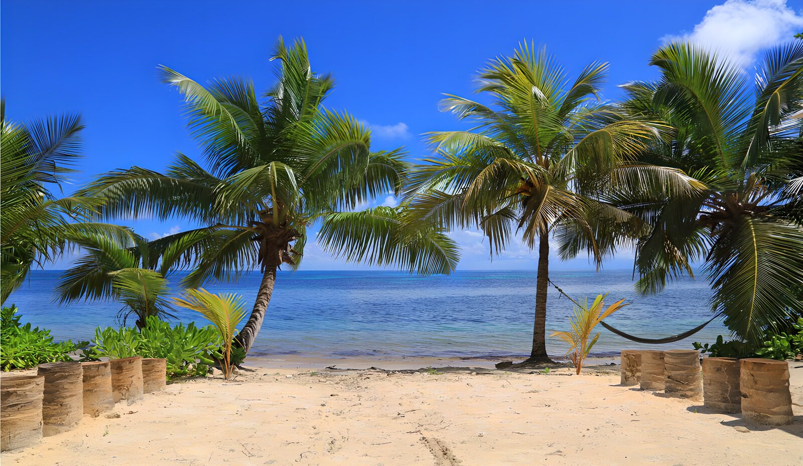Tropical Paradise by the Sea