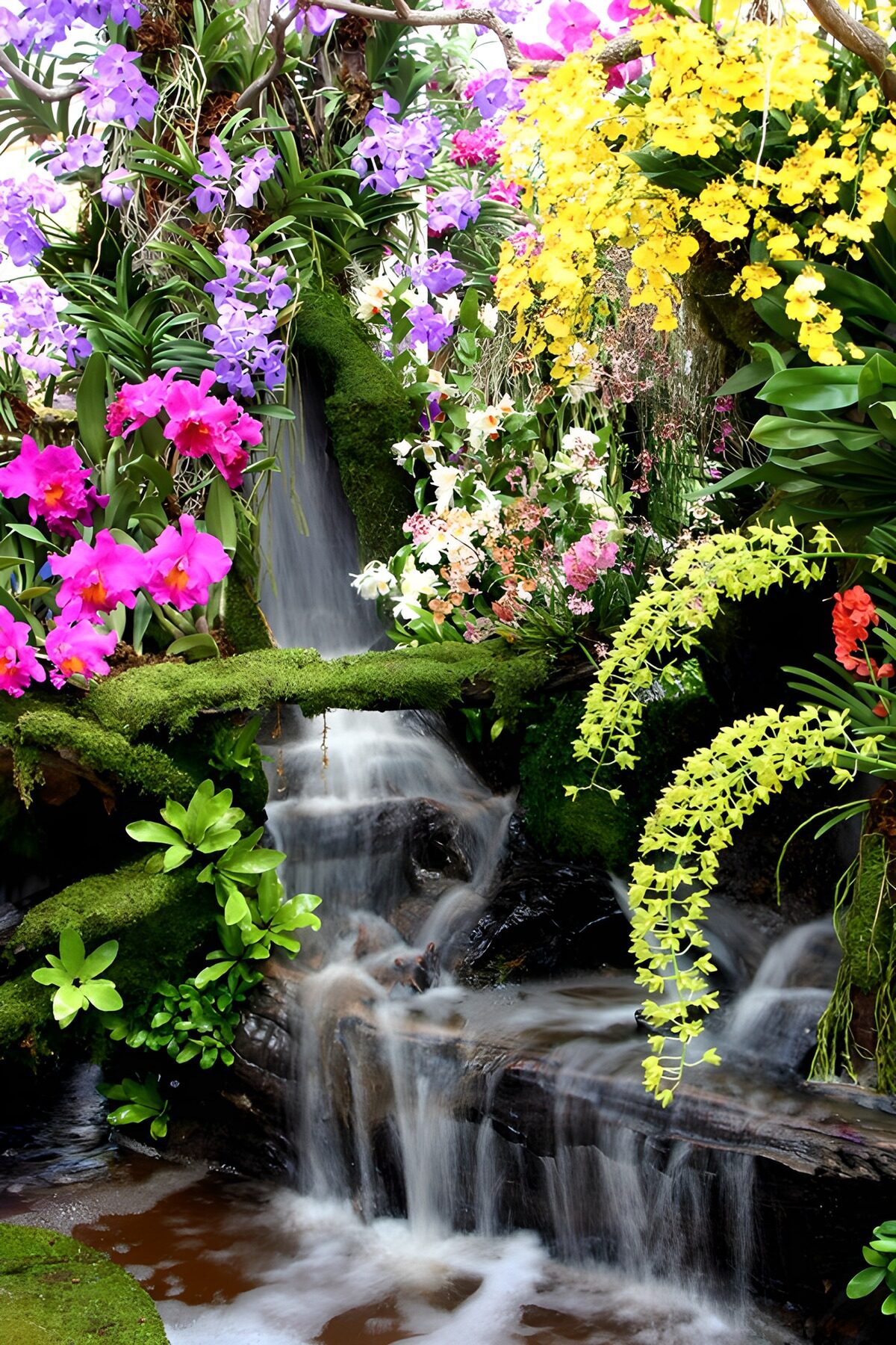 Serene Floral Waterfall Bliss