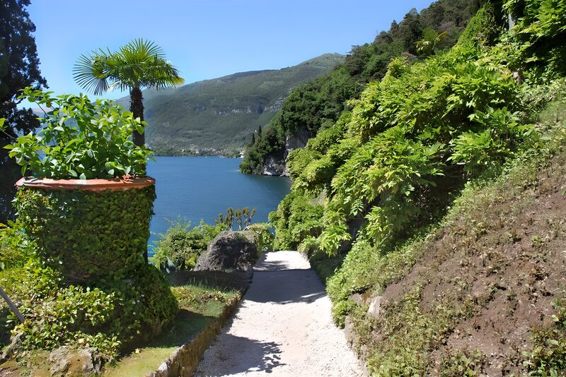 Serene Pathway by the Lake