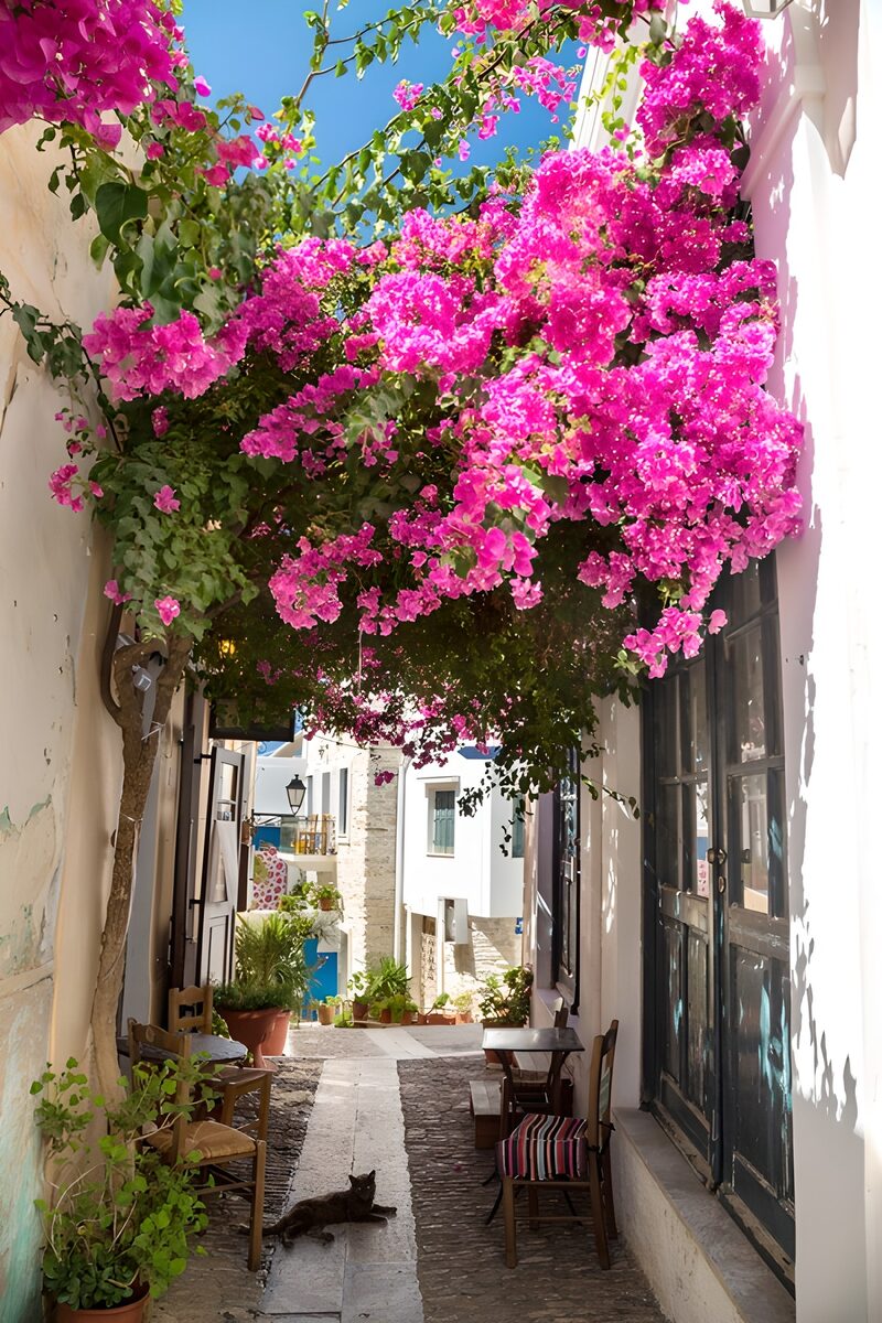 Charming Alleyway Blooms
