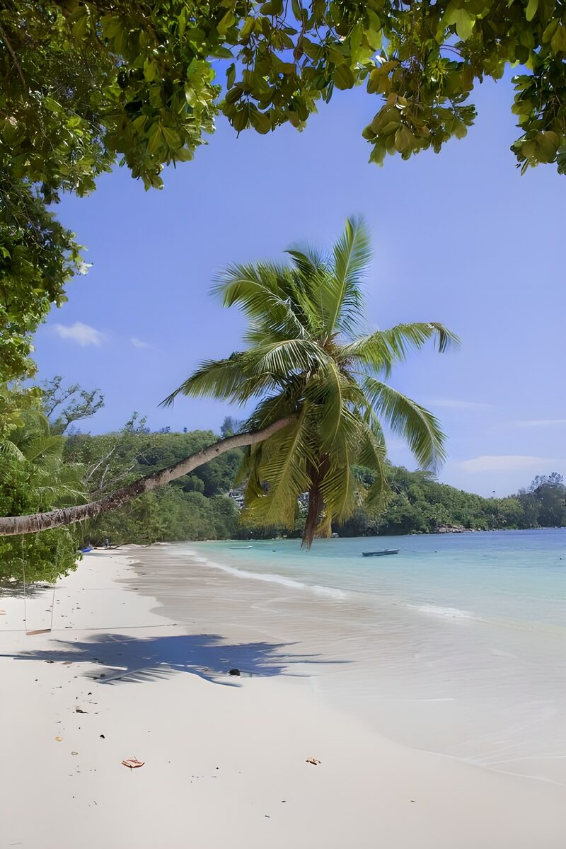 Tropical Paradise at the Beach
