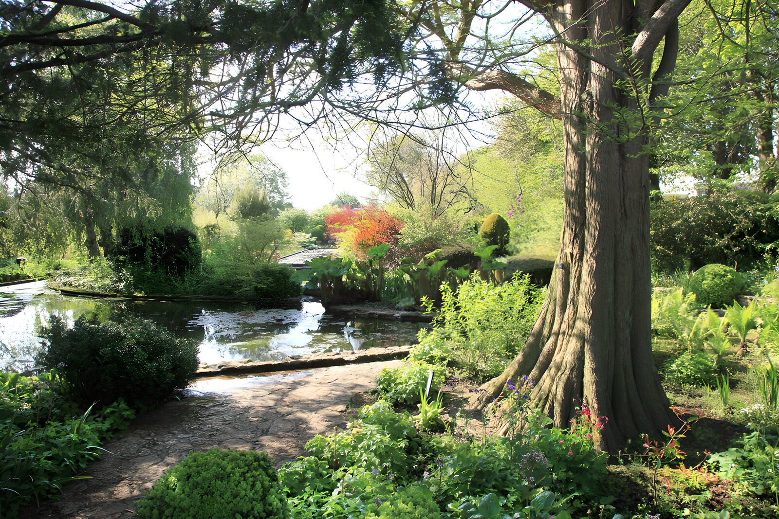 Serene Garden Oasis