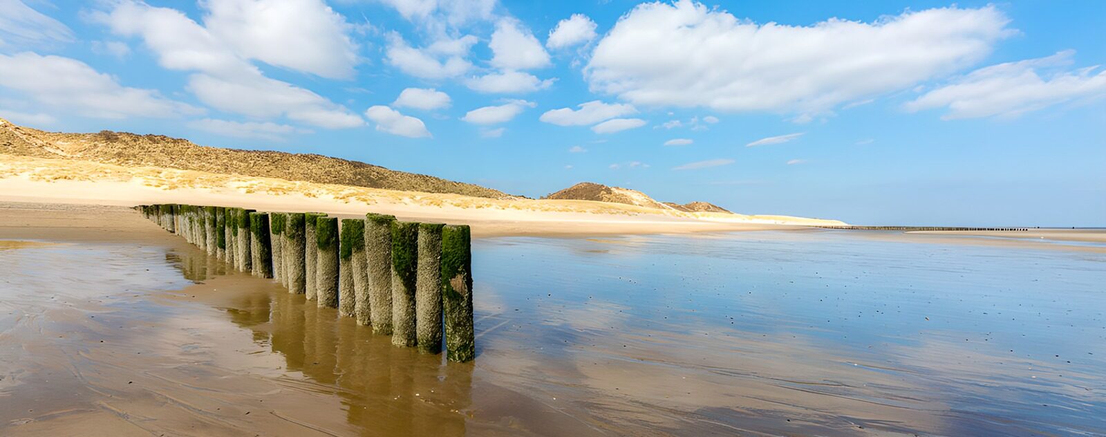 Tranquil Beach with Braided Poles