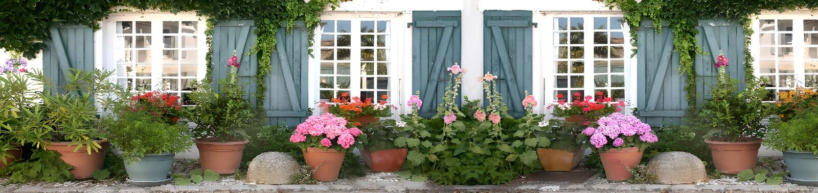 Charming Flowered Cottage Facade