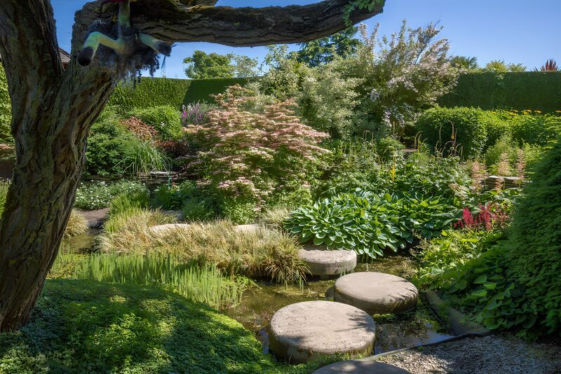 Tranquil Garden Oasis